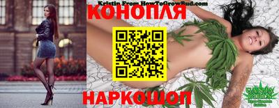 сатива Кандалакша