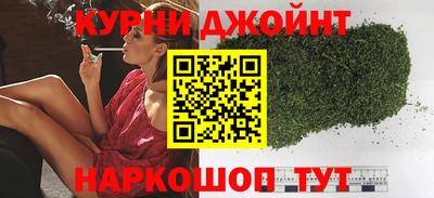 сатива Кандалакша