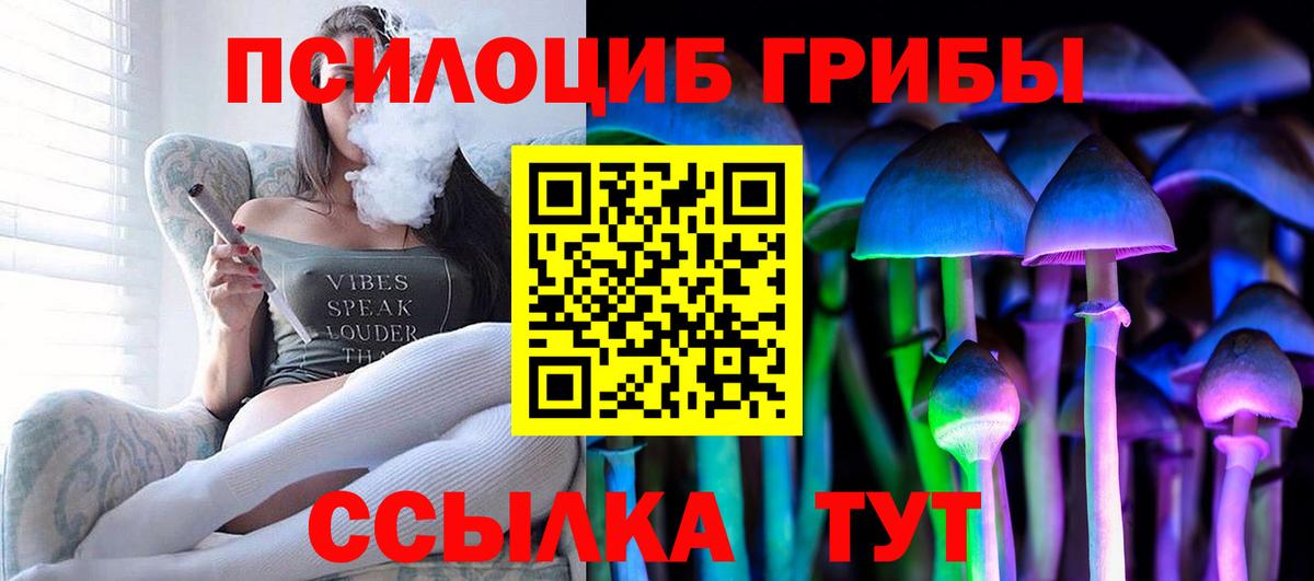 Псилоцибиновые грибы ЛСД  купить   Красноармейск  Псилоцибиновые грибы Cubensis  Вход с VPN 